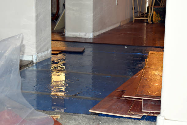 Professional Emergency Water Damage Restoration technician working in Coeymans Hollow, NY